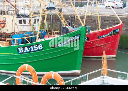 Traditionelle Fischerboote in Arbroath Harbour, Arbroath, Angus, Schottland, Vereinigtes Königreich Stockfoto