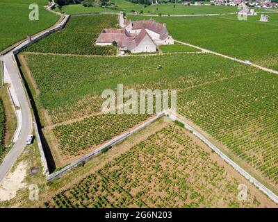 Luftblick auf grüne Grand Cru- und Premier Cru-Weinberge mit Reihen von Pinot Noir-Trauben in Cote de nuits, die aus berühmten roten und weißen Burgun hergestellt werden Stockfoto