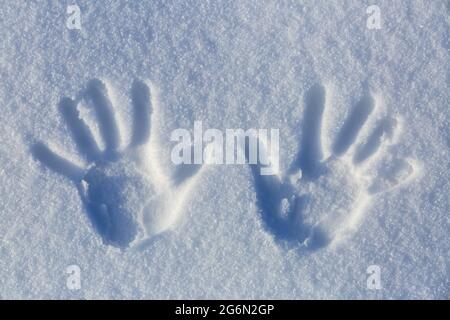 Hände druckt auf den kalten weißen Schnee mit einem sonnigen Wintertag. Widescreen-Frame-Hintergrund. Stockfoto