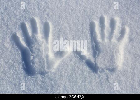 Hände druckt auf den kalten weißen Schnee mit einem sonnigen Wintertag. Widescreen-Frame-Hintergrund. Stockfoto