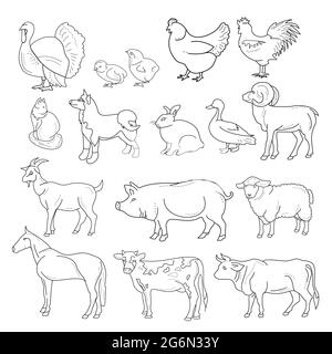 Vektordarstellung von Umrissfiguren von Nutztieren. Tiere im Linienstil auf weißem Hintergrund. Stock Vektor