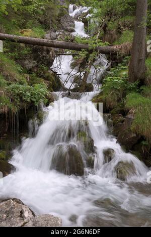 Bergbach, der mit kleinen, kaskadierenden Wasserfällen über Felsen hinunterfließt, Berchtesgaden, Bayern, Deutschland Stockfoto