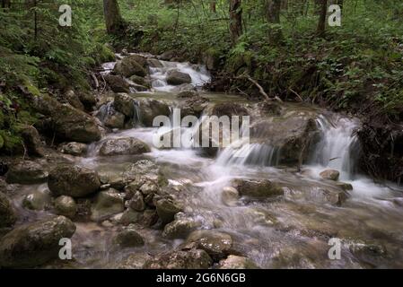 Bergbach, der mit kleinen, kaskadierenden Wasserfällen herunterfließt, Berchtesgaden, Bayern, Deutschland Stockfoto