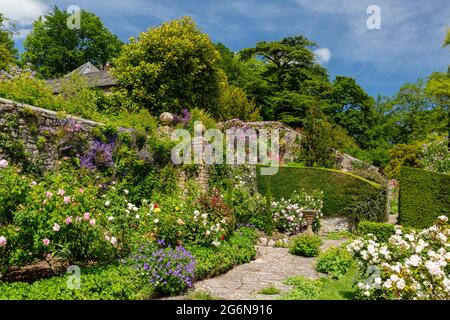 Eine farbenfrohe Grenze in Milton Lodge Gardens, bei Wells, Somerset, England Stockfoto