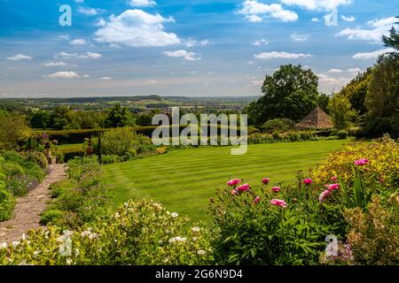 Eine farbenfrohe Grenze aus rosa Pfingstrosen in Milton Lodge Gardens, bei Wells, Somerset, England Stockfoto