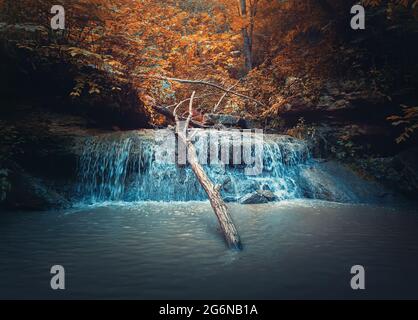 Kleiner Bach-Wasserfall mit Wasser, das durch den Herbstwald fällt. Schneller Strom fließt aus der Quelle im Wald, durch die Hügel. Saharna Stockfoto