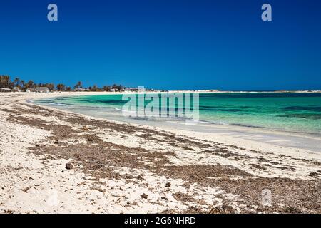 Ein schöner Blick auf die Mittelmeerküste mit Birkenwasser, einem Strand mit weißem Sand und einer grünen Palme. Stockfoto