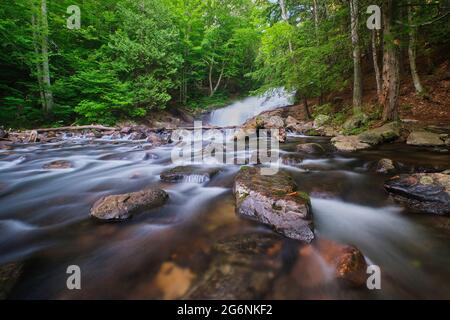 Fish Hatchery Falls liegt im Muskoka Lakes District in der Nähe von Ullswater Onario Canada. Stockfoto