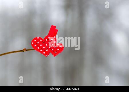 Valentinstag. 2 rote Herzen hängen im Winter vor dem Hintergrund eines Winterwaldes an einem Ast. Glückwunschbanner oder Postkarte glücklicher Valen Stockfoto