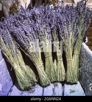 Bündeln von trockenen Lavendelblüten in kleinen aromatischen Trauben in einem Blumengeschäft im Freien in der Provence, Frankreich. Blumensträuße von lavanda in vintage violettem Holz Stockfoto