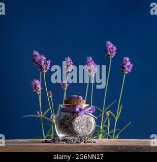 Getrocknete Lavendelknospen in einem kleinen Glas auf einem Holztisch auf blauem Hintergrund mit frischen Blüten von lavanda in weichem Fokus. Aromatische Kräuter-Souvenirs in PR Stockfoto