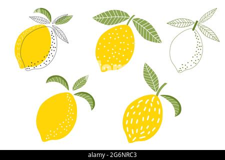 Doodle Tropical Fruit Lemon, Zitrus Set, isoliert auf weißem Hintergrund. Vektorgrafik handgezeichnete Illustration. Stock Vektor