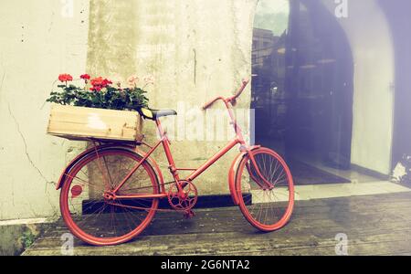 An der Wand steht ein altes rotes Fahrrad mit einer Kiste voller roter und rosafarbener Blumen Stockfoto