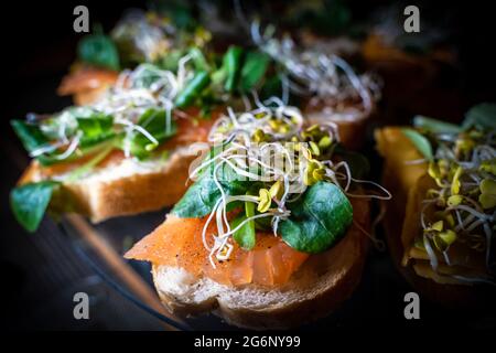 Selektiver Fokus auf wenige Vollkornbrot-Sandwiches mit geräuchertem Lachs, Weichkäse und Sprossen. Gesundes Peskatarisches Frühstückskonzept. Stockfoto