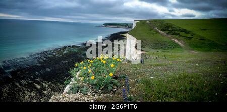 Der Seven Sisters Cliffs Walk: Eine unvergessliche Wanderung von Seaford nach Eastbourne, England. Alle Wanderwege. Geht hinaus und geht Stockfoto