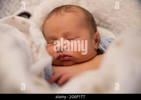 Ein Porträt eines Neugeborenen Stockfoto
