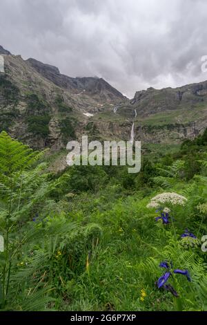 Entferntes Cascada del Cinca in den Pyrenäen mit schöner Bergwiese mit Blumen im Vordergrund am bewölkten Sommertag, Spanien Stockfoto