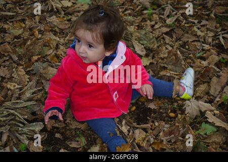 Kleines Kind, das unter Bäumen im Cornwall Park, Auckland, Neuseeland, zwischen Herbstblättern spielt. Stockfoto