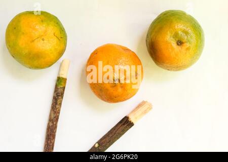 Miswak-Stick mit Orange auf weißer Oberfläche, Miswak für bessere Zähne und muslime Stockfoto