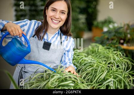 Glückliche Brünette Frau Floristin Gießen frisches Wasser auf chlorophytum grüne Blätter im heimischen Garten Stockfoto