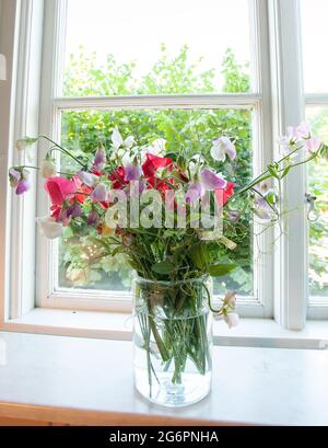 Bund rosa, weiße und violette Erbsen in Glasvase Stockfoto