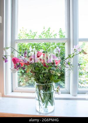 Bund rosa, weiße und violette Erbsen in Glasvase Stockfoto