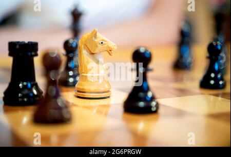 Wardenburg, Deutschland. Juli 2021. Hölzerne Schachfiguren stehen auf einem Schachbrett. Chess ist ein strategisches Brettspiel, bei dem zwei Spieler abwechselnd Schachfiguren auf einem Schachbrett bewegen. Das Ziel des Spiels ist es, den Gegner zu kaschieren, das heißt, seinen König so anzugreifen, dass es ihm unmöglich ist, zu verteidigen oder zu entkommen. Quelle: Hauke-Christian Dittrich/dpa/Alamy Live News Stockfoto