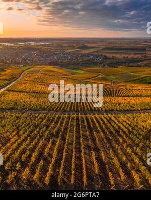 Tokaj, Ungarn - Luftpanorama der weltberühmten ungarischen Weinberge der Tokajer Weinregion mit der Stadt Tokaj und goldenem Sonnenaufgang am Backgroun Stockfoto