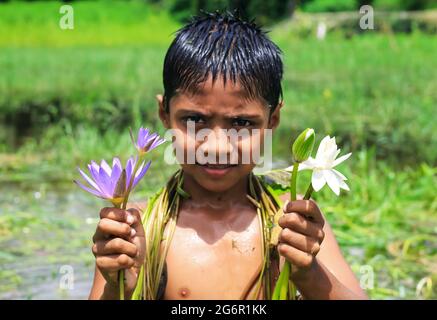 Junge mit Seerose Blume auf dem Teich. Asiatische junge niedlich Lächeln mit lila und weißen Lotus. Stockfoto