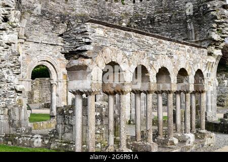 Die erste Zisterzienserabtei, die im 1200. Jahrhundert in Irland gegründet wurde. County Meath, Irland. Stockfoto