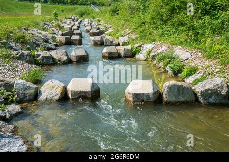 Fischleiter für die Migration von Laichfischen im Flusslauf Stockfoto