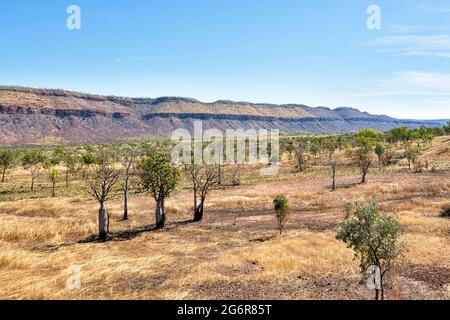 Maggie's Valley ist eine typische Landschaft der Kimberley-Region, in der Nähe von Wyndham, Western Australia, WA, Australien Stockfoto