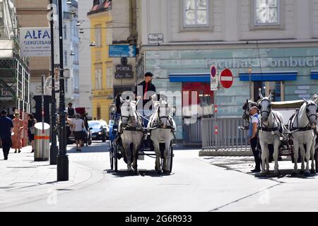 Wien, Österreich. Juli 2021. Hitzewelle in Österreich. In Wien werden bis zu 38 Grad Celsius prognostiziert. Fiaker-Pferde haben Hitze frei von 35 Grad Celsius. Quelle: Franz Perc / Alamy Live News Stockfoto
