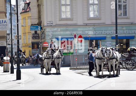 Wien, Österreich. Juli 2021. Hitzewelle in Österreich. In Wien werden bis zu 38 Grad Celsius prognostiziert. Fiaker-Pferde haben Hitze frei von 35 Grad Celsius. Quelle: Franz Perc / Alamy Live News Stockfoto