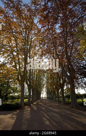 Palau del Parc de Samà, Tarragona, Spanien Stockfoto