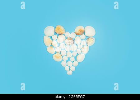 Muscheln auf farbigem Hintergrund. Herzform aus Muscheln. Hochwertige Fotos Stockfoto