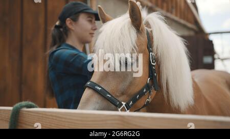 Nahaufnahme eines hellbraunen Pferdes mit einer blonden Mähne und Zaumzeug. Reiterin trägt eine Mütze und steht mit ihrem schönen Pferd vor dem Stall. Reiten zur freien Verfügung. Stockfoto