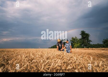 Vater und Sohn stehen nach erfolgreicher Aussaat und Wachstum auf ihrem Weizenfeld. Sie bereiten sich auf die Ernte vor. Regenbogen am Himmel dahinter. Stockfoto