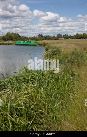 Ein Boot auf der Themse bei Farmoor in Oxfordshire in Großbritannien Stockfoto