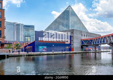 Das Baltimore National Aquarium befindet sich am Pier 3 (501 East Pratt Street) im Binnenhafen von Baltimore. Stockfoto