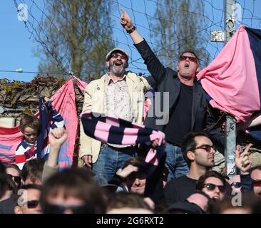 Fans des FC Dulwich Hamlet auf den Terrassen bei einem Spiel auf ihrem Champion Hill-Gelände in East Dulwich im Südosten Londons, England, Großbritannien, Stockfoto