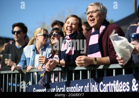 Fans des FC Dulwich Hamlet scherzen auf den Terrassen bei einem Spiel auf ihrem Champion Hill-Gelände in East Dulwich im Südosten Londons, England. Stockfoto