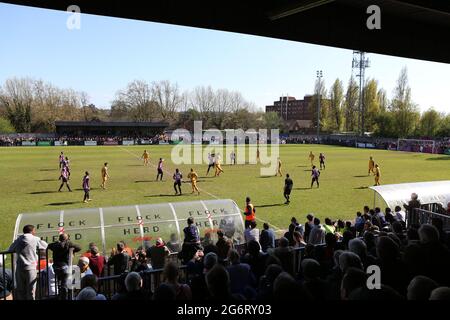 Fans des FC Dulwich Hamlet auf den Terrassen bei einem Spiel auf ihrem Champion Hill-Gelände in East Dulwich im Südosten Londons, England, Großbritannien, Stockfoto