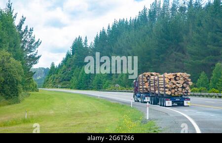 Ladung von geernteten Kiefernstämmen auf den LKWs zu Holzmühlen transportiert. Neuseeländische Forstwirtschaft. Stockfoto