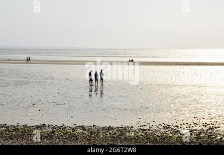 Menschen, die bei Ebbe die Sandbons am West Meadow Beach an einem nebligen Sommerabend genießen. Stony Brook, Long Island Sound, New York. Speicherplatz kopieren. Stockfoto