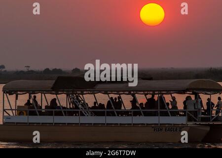 Bootstour bei Sonnenuntergang am Chobe River Botswana Stockfoto