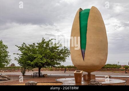 Alamogordo, New Mexico - EINE riesige Pistazien-Skulptur auf McGinns Pistachio Tree Ranch. Stockfoto