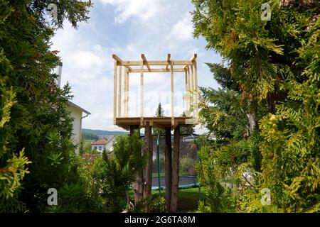 Baumhaus Skelett aus Holzbalken. Es ist von Zedernbäumen umgeben. Stockfoto