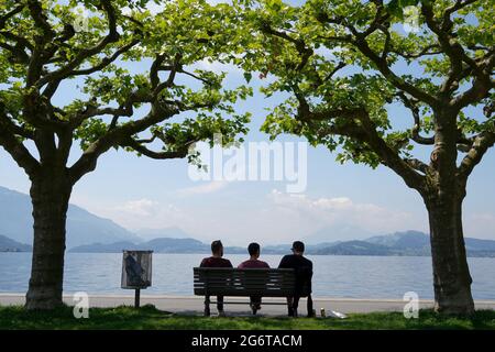 Silhouetten von drei Personen, die auf einer Bank sitzen. Szene vom Zugersee in der Stadt Zug in der Schweiz. Die Bank wird zwischen zwei Plattenbäumen platziert. Stockfoto