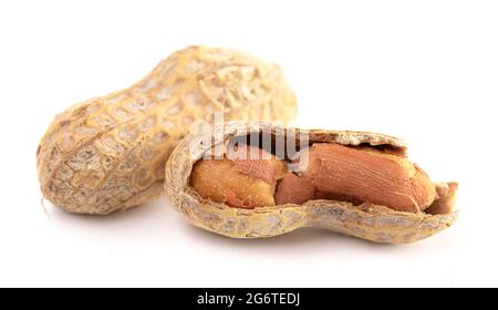 RAW in Shell Peanuts isoliert auf weißem Hintergrund Stockfoto